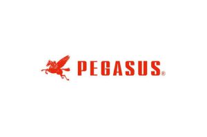Pegasus